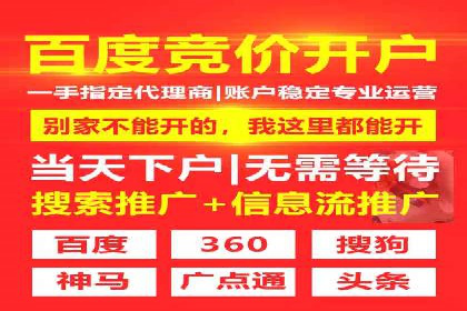 视频教程：通过SEM推广实现快速引流